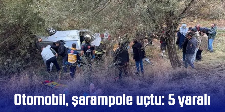 Otomobil, şarampole uçtu: 5 yaralı