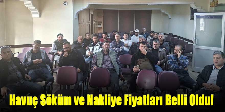 Havuç Söküm ve Nakliye Fiyatları Belli Oldu!
