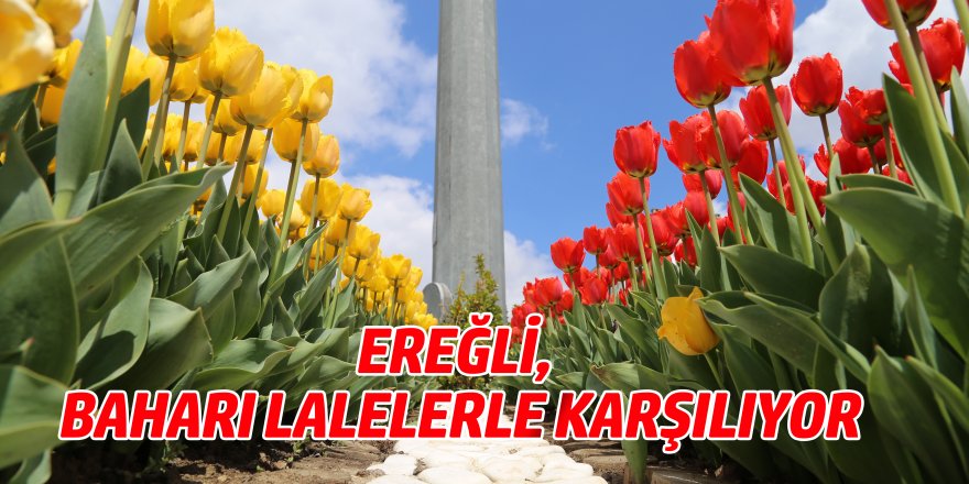 EREĞLİ, BAHARI LALELERLE KARŞILIYOR