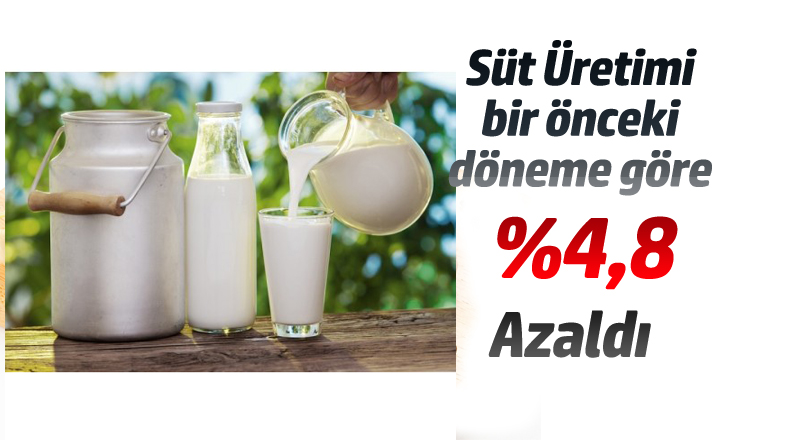 Süt Ürünleri Üretimi,%4,8 Azaldı