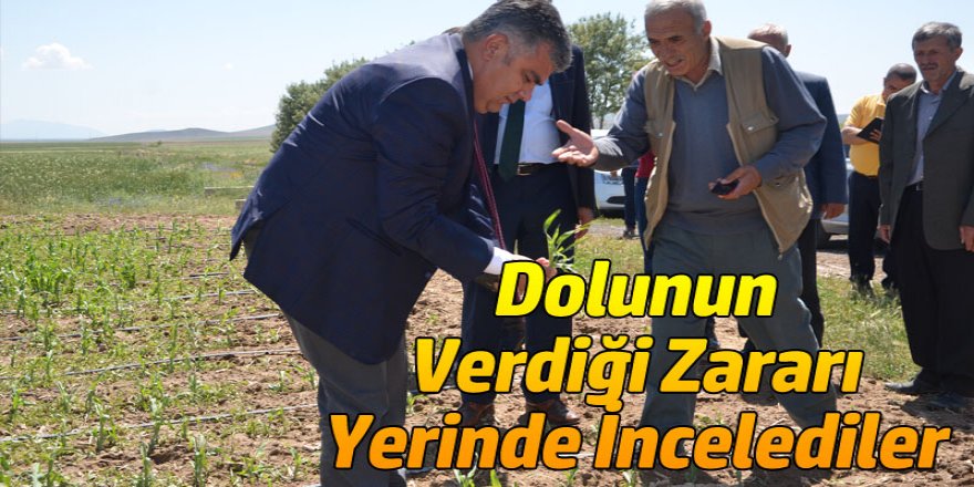 DOLUNUN VERDİĞİ ZARARI YERİNDE İNCELEDİLER