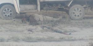 Tarla ’da Erkek cesedi bulundu