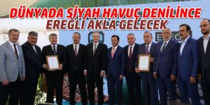DÜNYADA SİYAH HAVUÇ DENİLİNCE EREĞLİ AKLA GELECEK