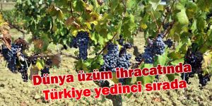 Dünya üzüm ihracatında Türkiye yedinci sırada