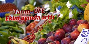 Tarım- ÜFE Ekim ayında %1,78 arttı