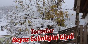 Toroslar Beyaz Gelinliğini Giydi