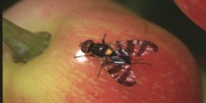 AK PARTİ EREĞLİ’DE İLK KALESİNİ AÇTI