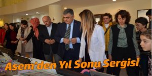 ASEM'DEN YIL SONU SERGİSİ