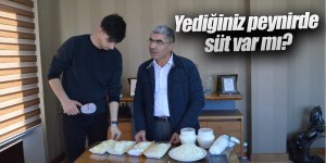 Yediğiniz peynirde süt var mı?