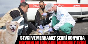 Sevgi ve Merhamet Şehri Konya’da Hayvanlar İçin Acil Müdahale Ekibi