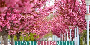 Konya’da Sakura Zamanı
