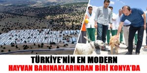 Türkiye’nin En Modern Hayvan Barınaklarından Biri Konya’da