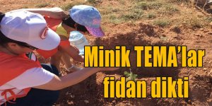 Minik TEMA’lar fidan dikti