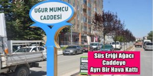 SÜS ERİĞİ AĞACI CADDEYE AYRI BİR HAVA KATTI