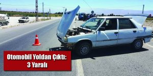 Otomobil Yoldan Çıktı: 3 Yaralı