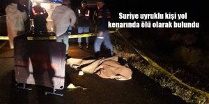 Suriye uyruklu kişi yol kenarında ölü olarak bulundu