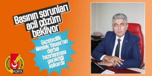 Basının sorunları acil çözüm bekliyor