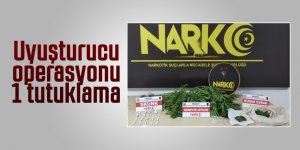 Uyuşturucu operasyonu: 1 tutuklama