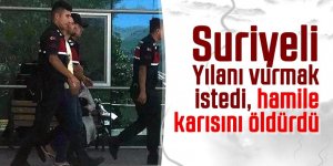 Suriyeli Yılanı vurmak istedi,hamile karısını öldürdü