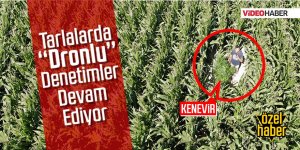 POLİS ZEHİR TARLALARINI BİR BİR TESPİT EDİYOR!