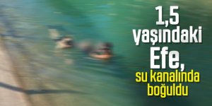 1,5 yaşındaki Efe, su kanalında boğuldu