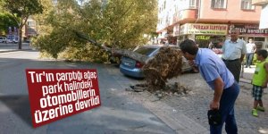 Römorkun söktüğü ağaç otomobillerin üzerine devrildi