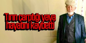 Tırın çarptığı yaya hayatını kaybetti