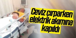 Ceviz çırparken elektrik akımına kapıldı