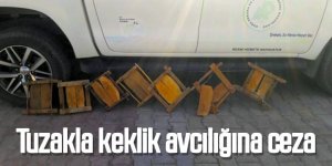 Tuzakla keklik avcılığına ceza