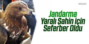 Jandarma Yaralı Şahin İçin Seferber Oldu