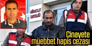 Eşini, aşk yaşadığı amcasının oğluna öldürten kadın ve sevgilisi, müebbet hapis cezası aldı