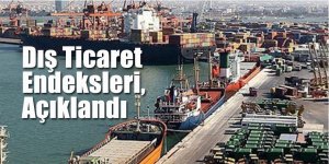 Dış Ticaret Endeksleri, Açıklandı