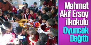 Oyuncak Kardeşliği Projesi
