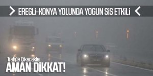 Konya - Ereğli yolu arasında yoğun sis Etkili