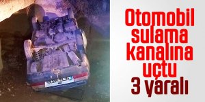 Otomobil sulama kanalına uçtu: 3 yaralı