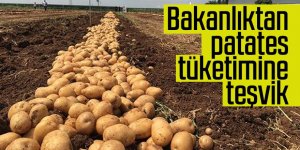 Bakanlıktan patates tüketimine teşvik