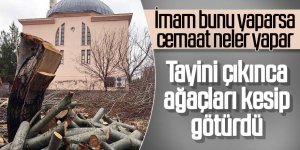 Tayini çıkan imamın, cami bahçesindeki ağaçları kestiği iddia edildi