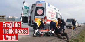 Kontrolden çıkan kamyon sürücüsü yaralandı