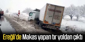 Makas yapan tır yoldan çıktı