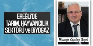 EREĞLİ DE TARIM VE HAYVANCILIK SEKTÖRÜ VE BİYOGAZ