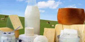 2019 yılı süt ve süt ürünleri üretimi açıklandı