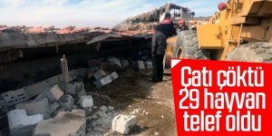 Çardağın çatısı çöktü, 29 küçükbaş hayvan telef oldu