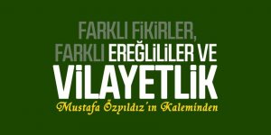 FARKLI FİKİRLER, FARKLI EREĞLİLİLER VE VİLAYETLİK