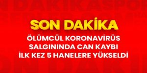 Son dakika: Koronavirüs sebebiyle hayatını kaybedenlerin sayısı 10 bin 30'a yükseldi