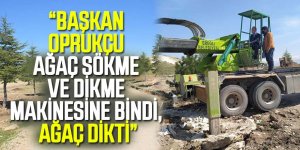 Ağaç dikmek bizim işimiz