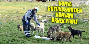 Konya Büyükşehir’den Dünyaya Örnek Proje