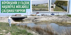 Büyükşehir 31 İlçede Haşereyle Mücadele Çalışması Yapıyor