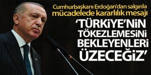 Cumhurbaşkanı Erdoğan: 'Türkiye'nin tökezlemesini bekleyenleri bir kez daha üzeceğiz'