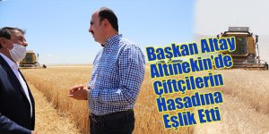 Başkan Altay Altınekin’de Çiftçilerin Hasadına Eşlik Etti