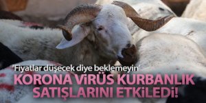 Korona virüs kurbanlık satışlarını etkiledi